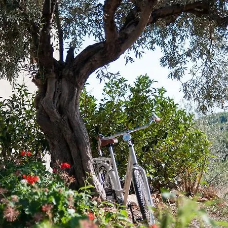 Alonissos Poikilma - Luxury In Alonissos In Nature With Private Pools Villa